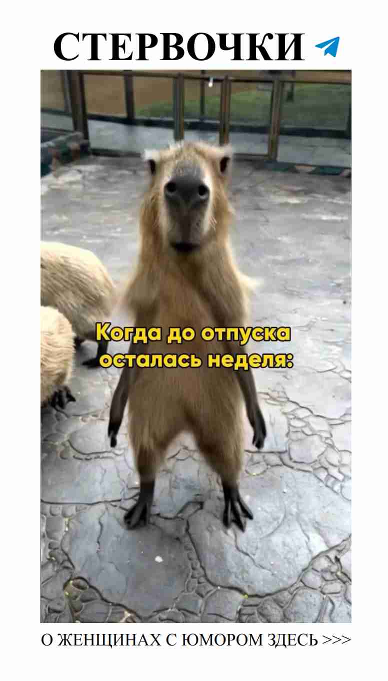 Смех и любовь: как не потерять юмор в отношениях