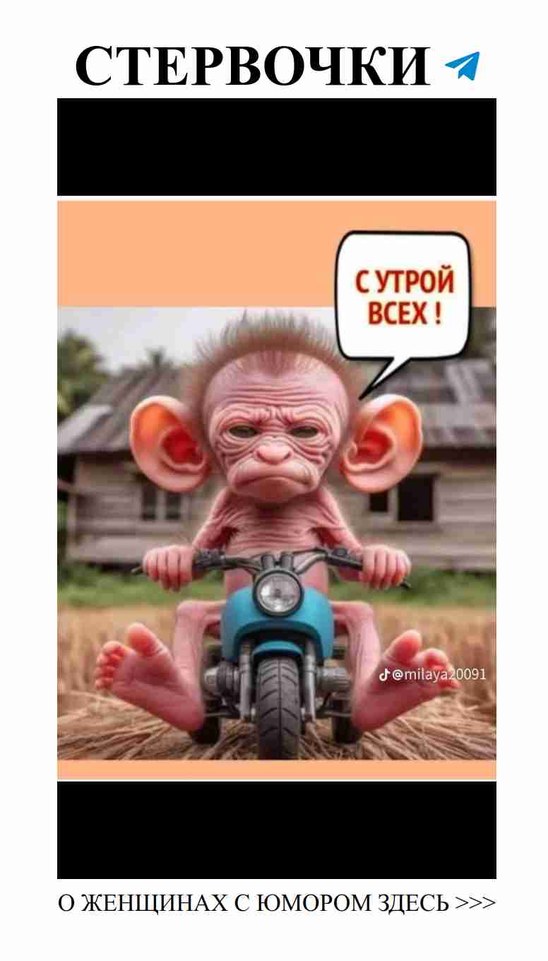 Смех и любовь: женщины, которые понимают мачо