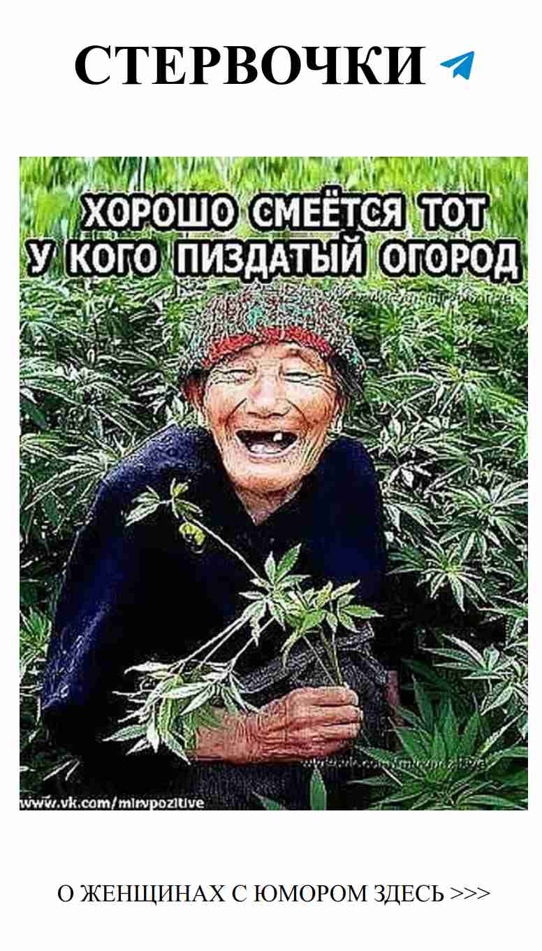 Смех и любовь: Как найти свою половинку с юмором