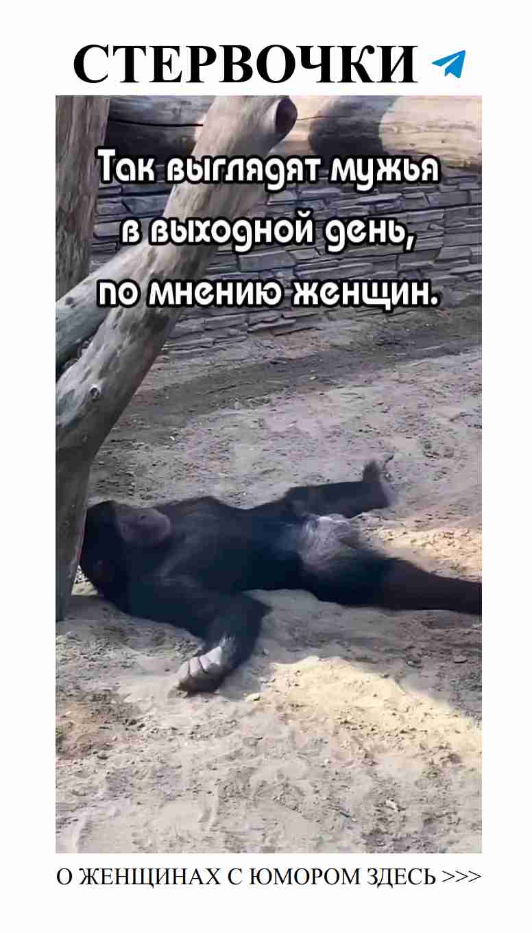Когда муж пытается развеселить в выходной день