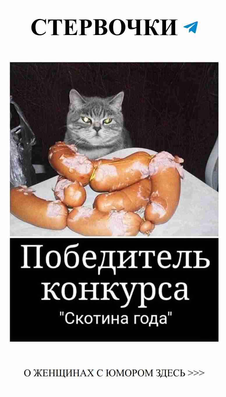 Любовь не всегда всерьез: смех и забавные моменты