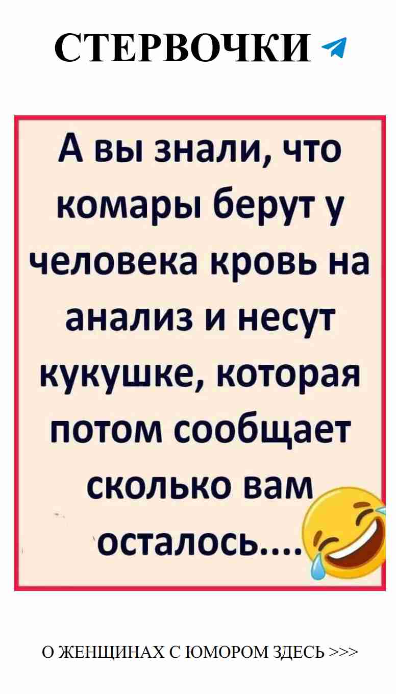 Смех и любовь: когда сердце шутит с собой