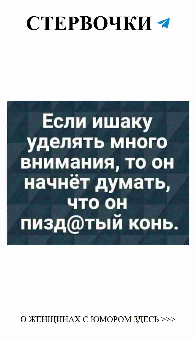 Когда любовь смешивается с юмором, жизнь становится ярче