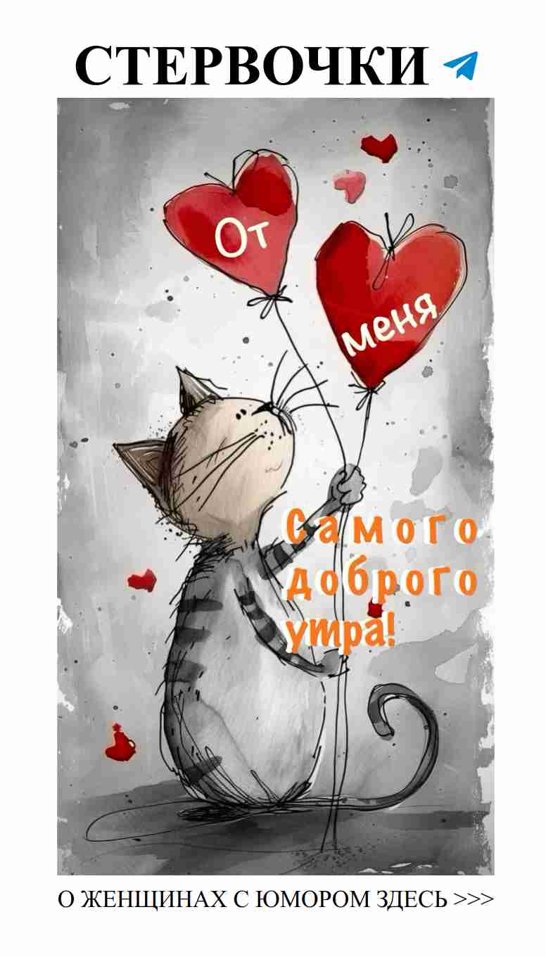 Утро с улыбкой: шарики и котики для хорошего настроения