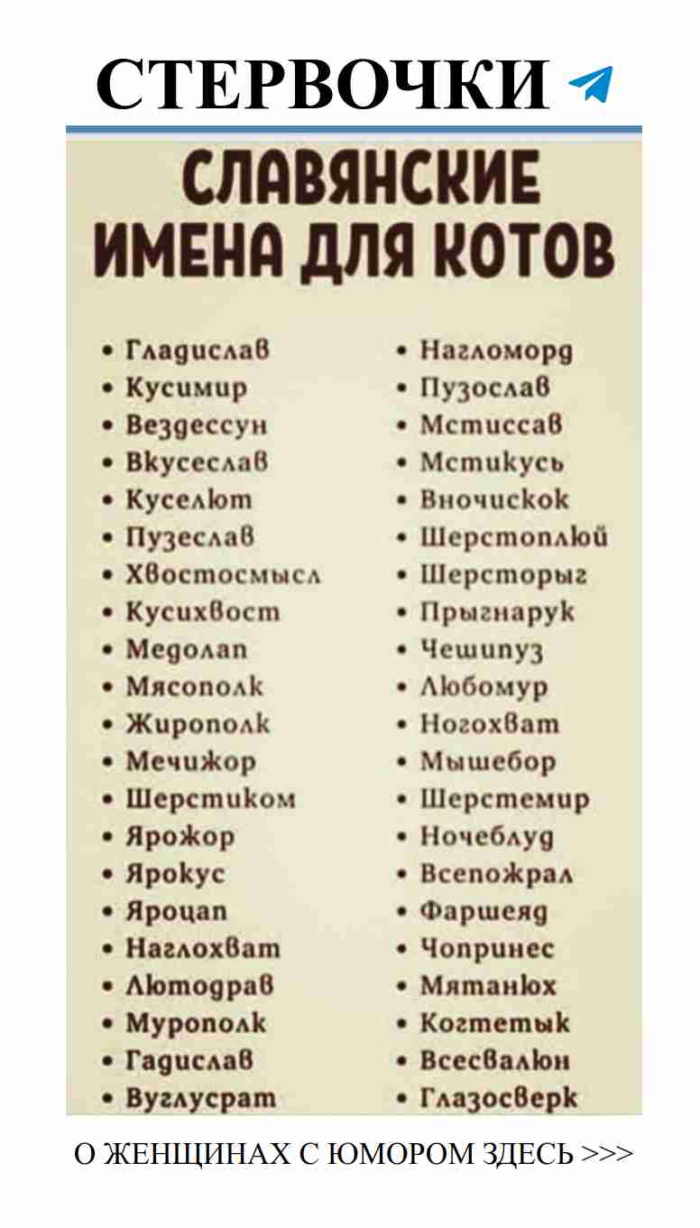 Любовь и смех: когда романтика встречает юмор
