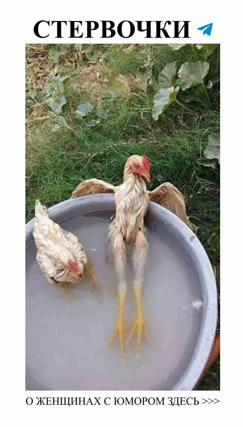 Когда курица замаринована, любовь не знает границ