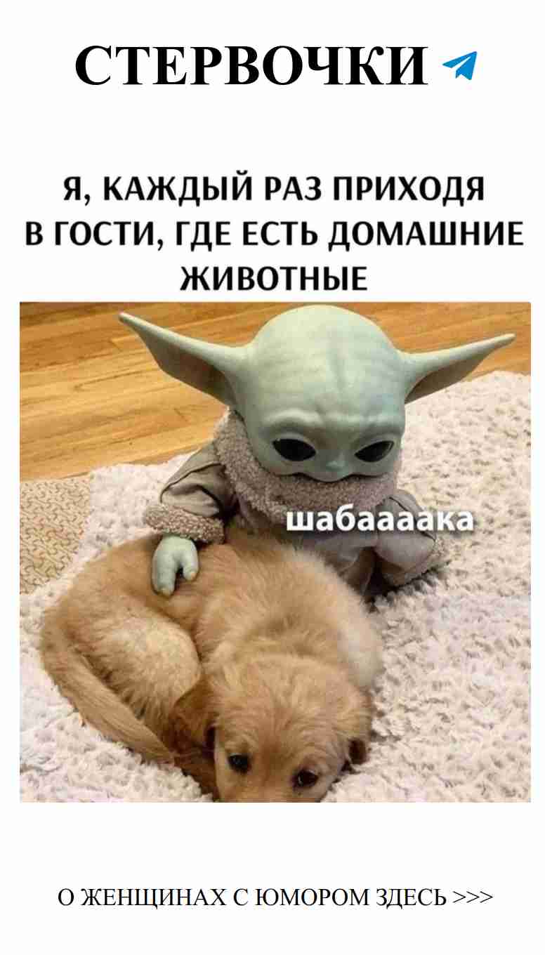 Любовь в шутках: когда смех и чувства идут рука об руку