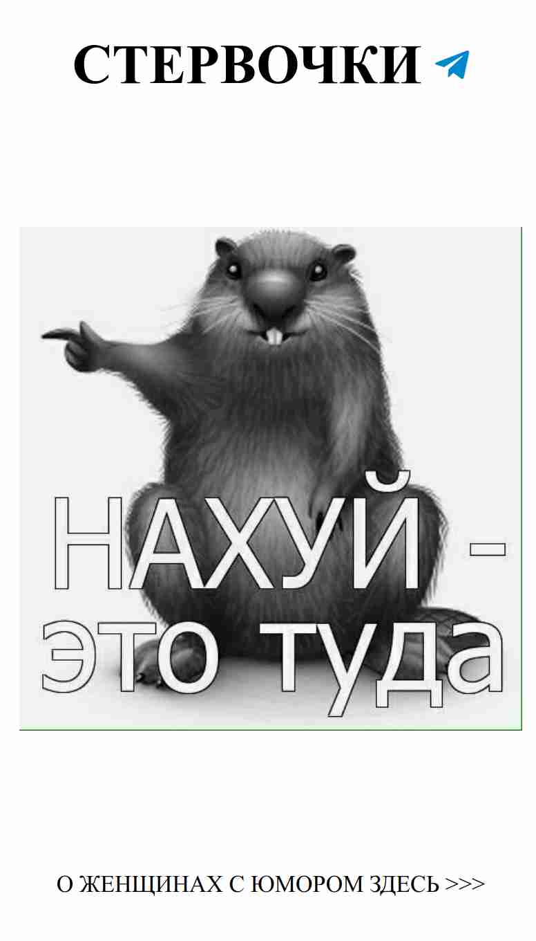 Любовь без границ: бобры и жизнь с юмором