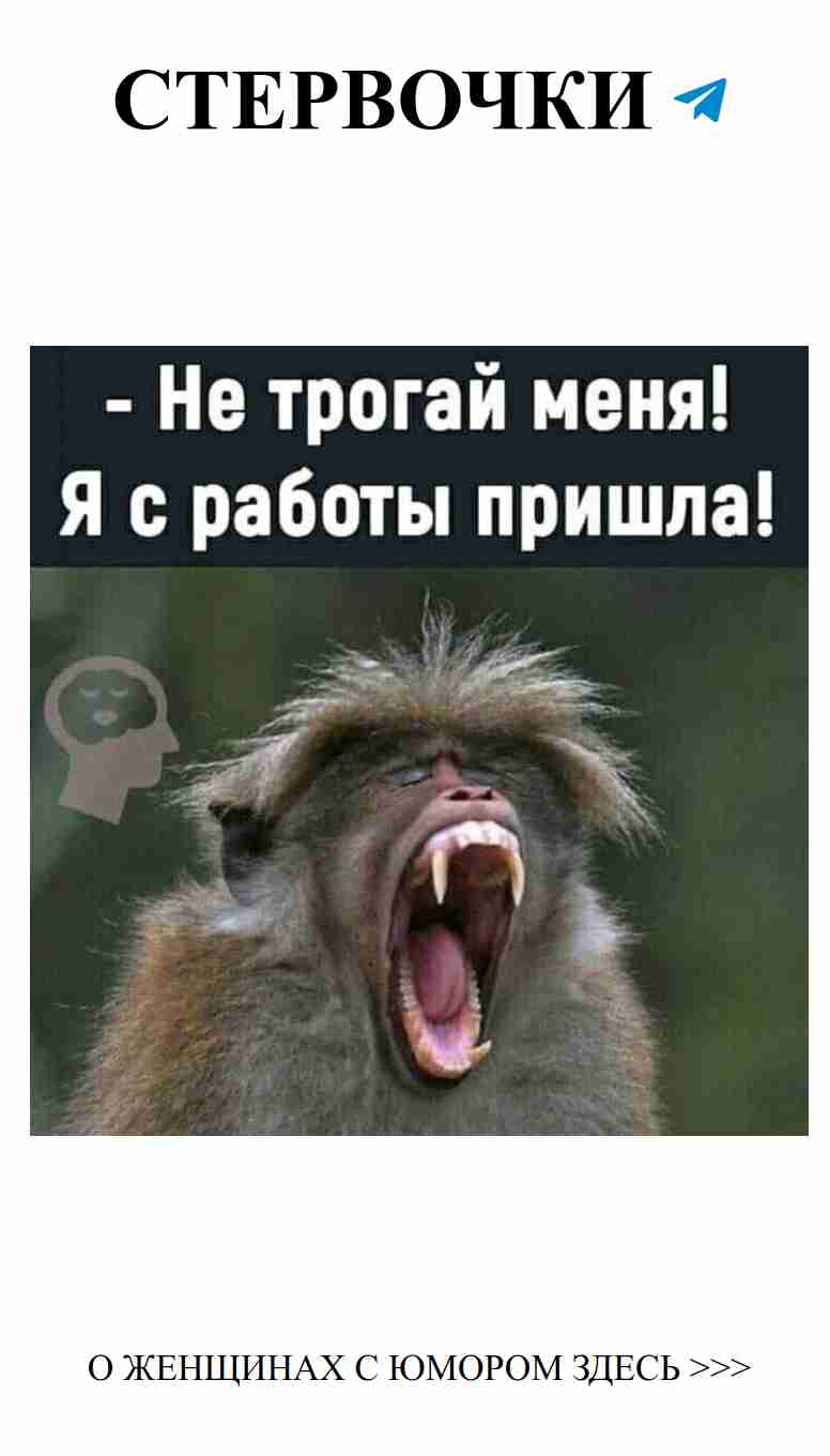 Любовь и смех: лучшие моменты женского юмора