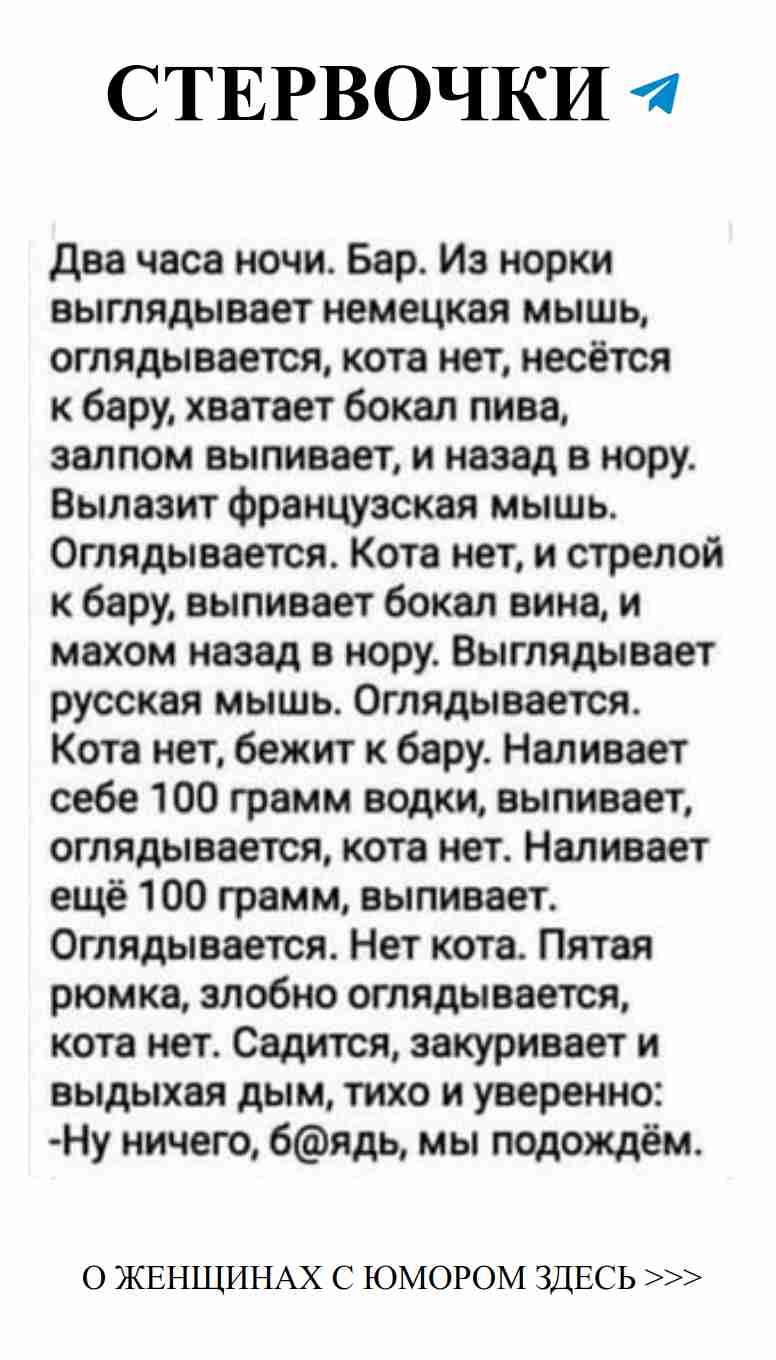 Когда кота нет, женский юмор в баре заходит далеко