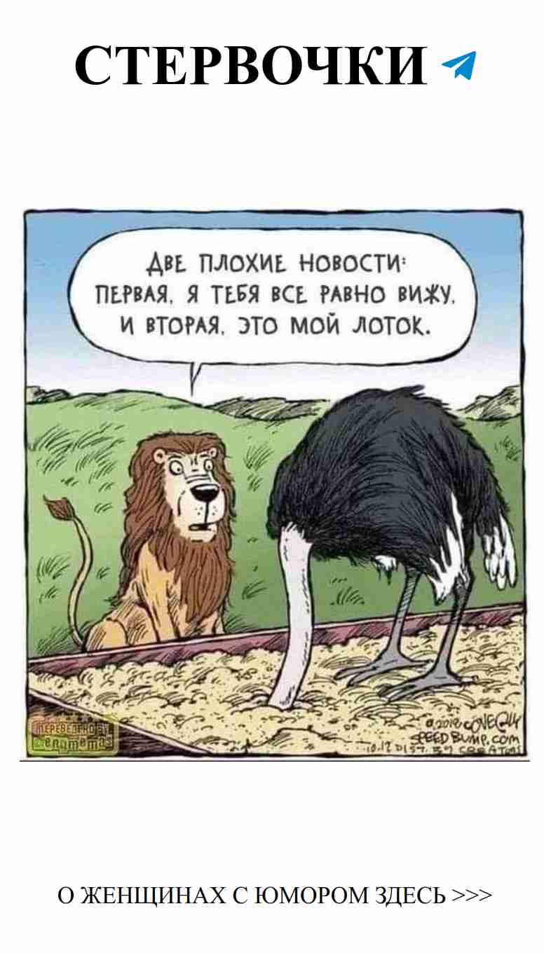 Смешные моменты о любви, которые заставят улыбнуться