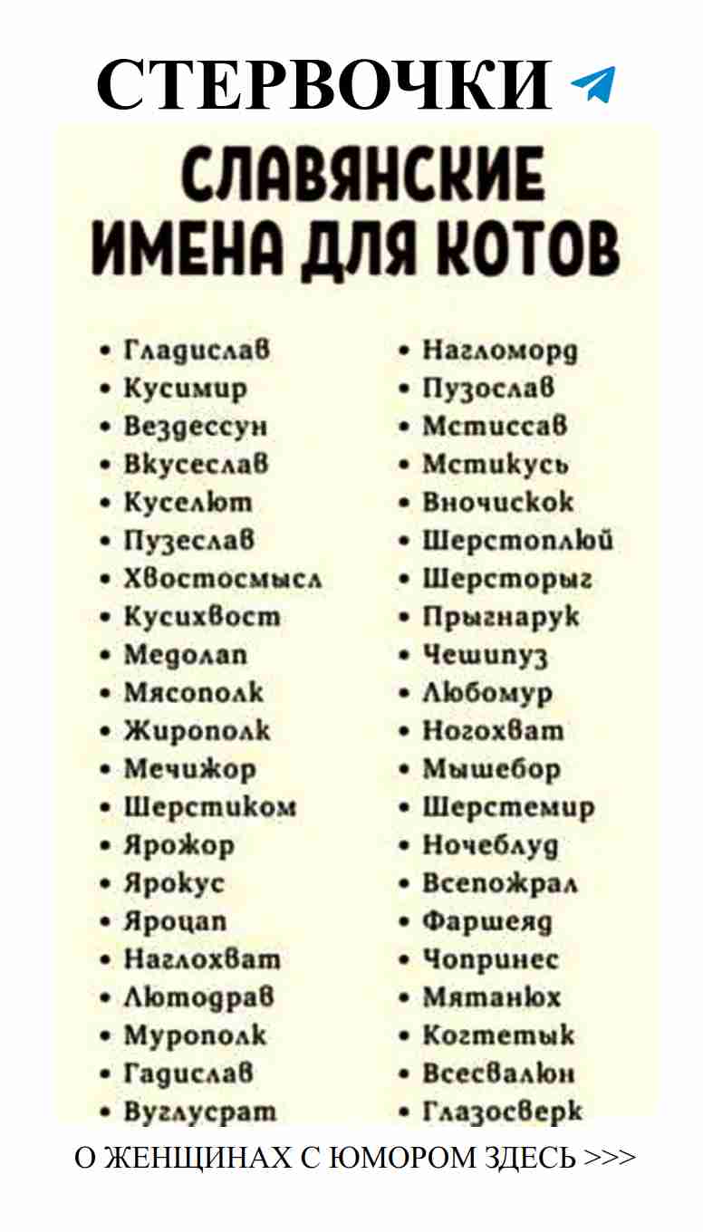 Смешные моменты о любви для поднятия настроения