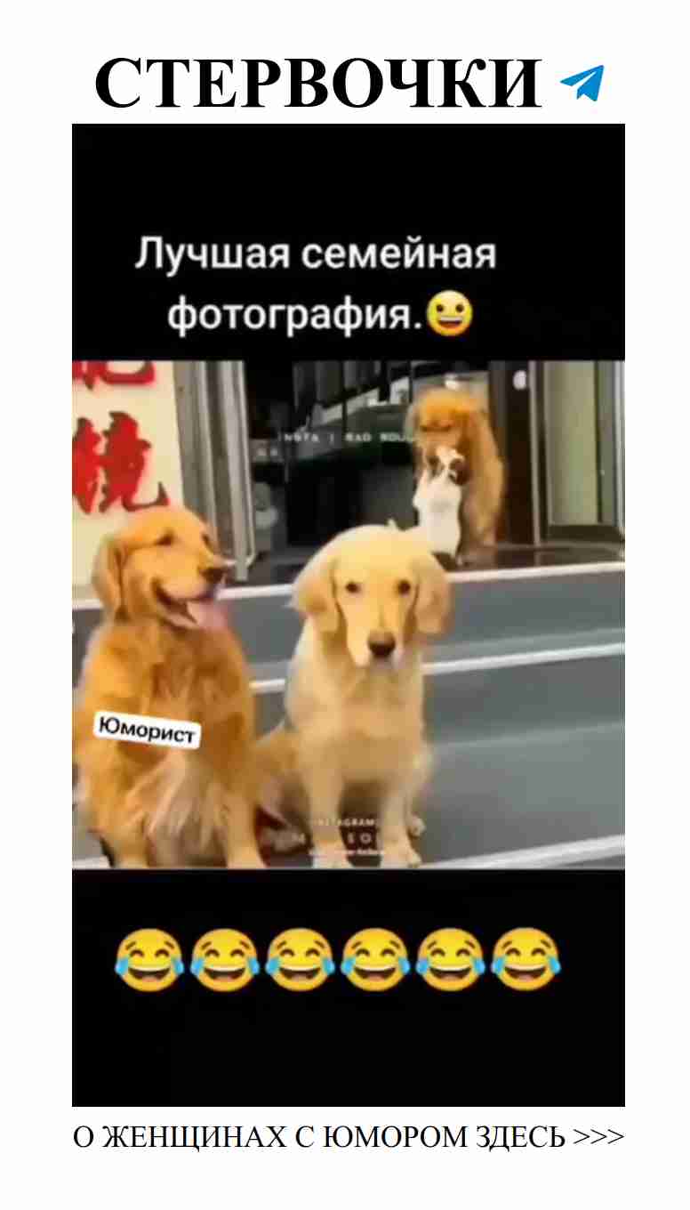 Смешные моменты в семейной фотосессии для любви